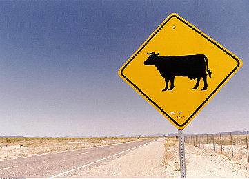 《怪物猎人：荒野》Steam国区价格永降 标准版348元